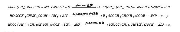CA88(�й���)Ψһ�ٷ���վ