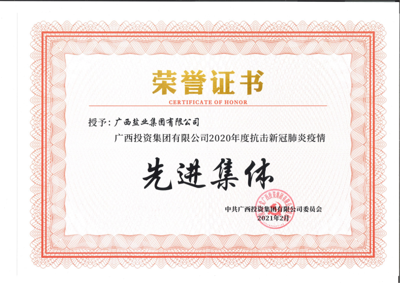 广西投资集团2020年度抗击新冠肺炎疫情先进单位