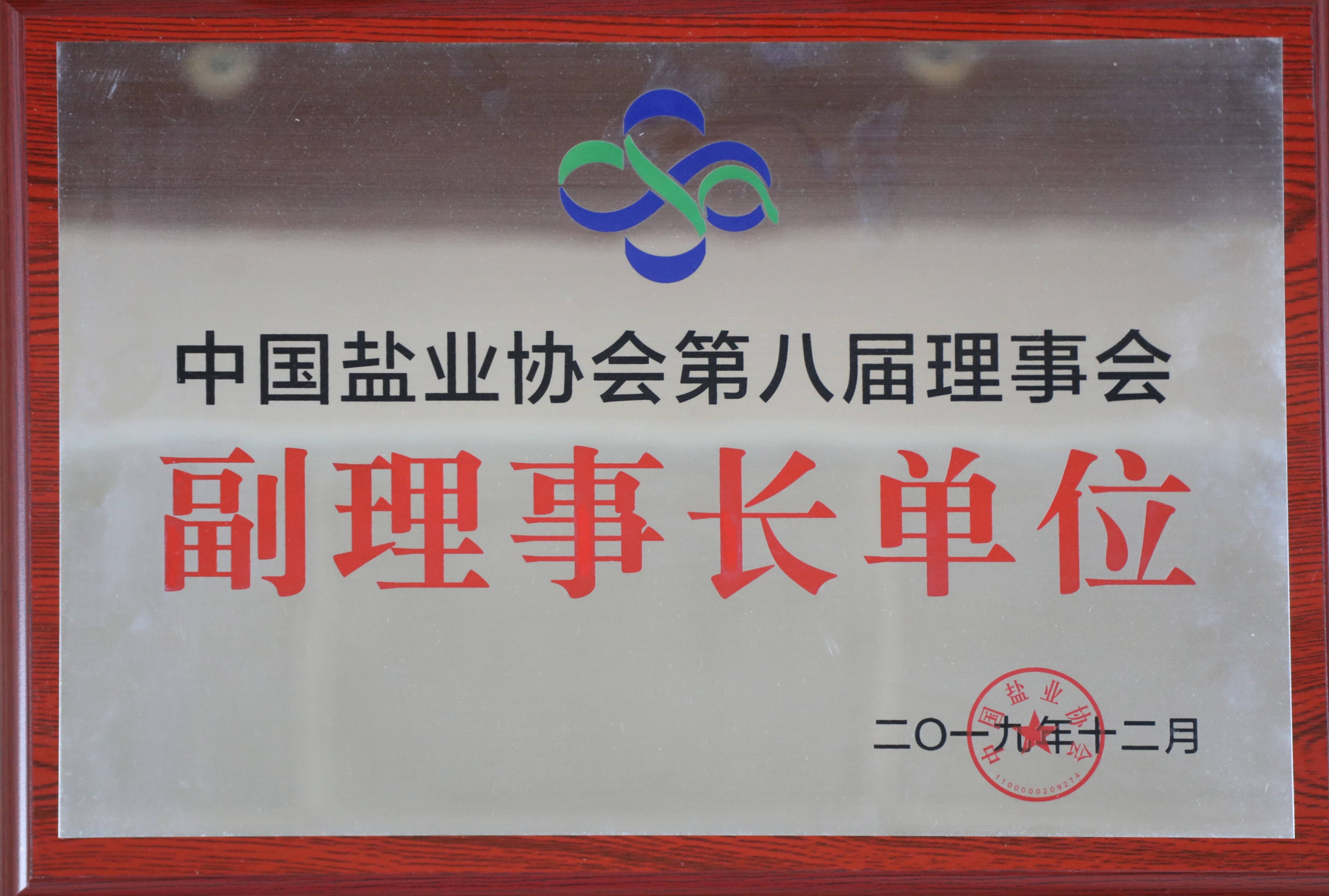 中国suncitygroup协会第八届理事会副理事长单位